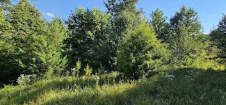Lot 561 Bluff View Dr, Dunlap, TN 37327