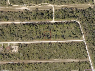 4219 E 30th St, Alva, FL 33920
