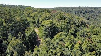 0 Daus Rd Unit 1505966, Dunlap, TN 37327