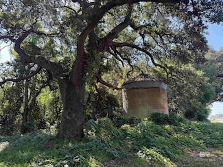 919 N Hickory St, Foley, AL 36535