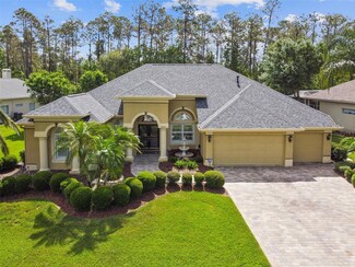 2818 Blue Springs Place, Wesley Chapel, FL 33544