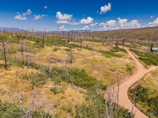 Lot 1644 Cary Ln, Ft. Garland, CO 81133