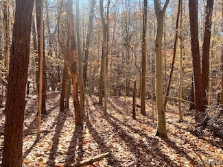 2803 River, Goochland, VA 23063