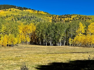 49404 Fs 567, Mancos, CO 81328