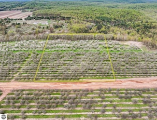 Parcel 3 S Karnes Rd, Empire Township, MI 49636