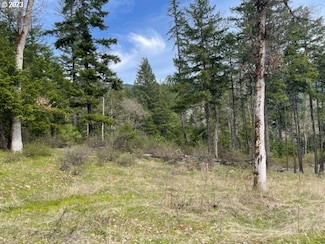 0 Bear Spring Rd Unit 23407652, Whitesalmon, WA 98672