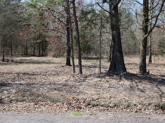 803 County Road 1780, Mount Pleasant, TX 75455