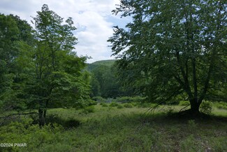 26 Riverview Dr, Lackawaxen Township, PA 18435