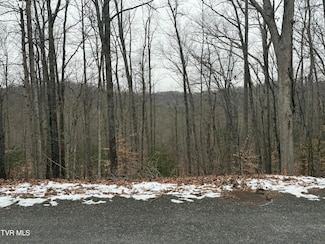 Tbd Lot 5 Skyline Dr, Bristol, TN 37620