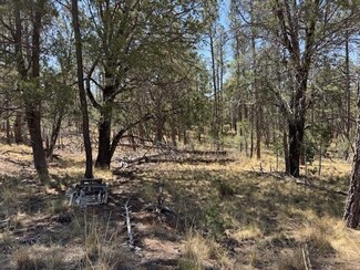 Lot 20 Drury Ln Unit 12, Timberon, NM 88350