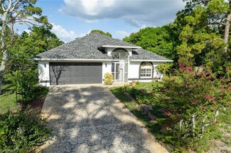 26985 Piva Ct, Bonita Springs, FL 34135