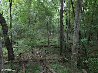 3 Old Hamburg Roxie Rd NW, Roxie, MS 39661
