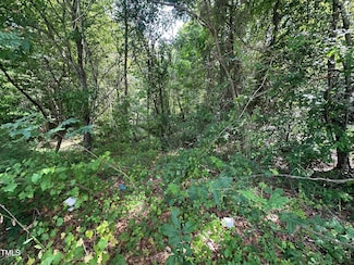 322 Courtland Dr, Angier, NC 27501