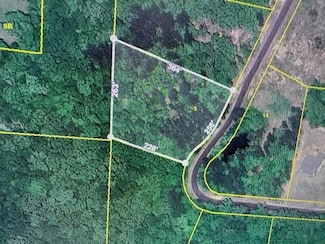 3 Suzy Cove, Savannah, TN 38372