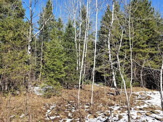 TBD Old 10 Rd, Saxon, WI 54559