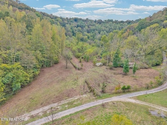 53.19AC Watts Hollow Rd, Buffalo Valley, TN 38548