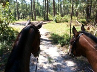 15.85 ac Stonewall Jackson Rd, Wagener, SC 29164