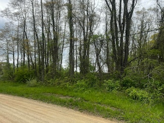 6307 Wilson St, Coloma, MI 49038