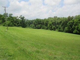 77102 Freeport Tippecanoe Rd, Freeport, OH 43973