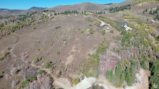 23206 N 14136 E Unit 131, Fairview, UT 84629