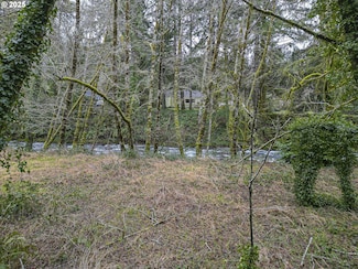 0 N Slick Rock Creek Rd Unit 400 291216840, Otis, OR 97368