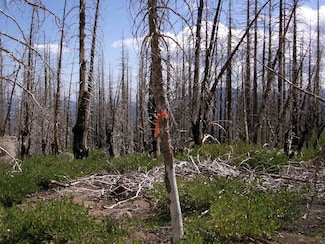XYX 43 N33, Weed, CA 96094