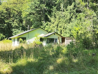 16807 Highway 36, Deadwood, OR 97430