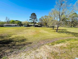 0 Gunter Dr Unit 17 & 18 21382719, Piedmont, AL 36272