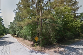 0 Carisbrook Ln, Humble, TX 77338