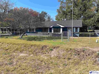 2124 N Governor Williams Hwy, Darlington, SC 29540