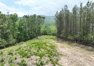 N Texas Rd, Delray, WV 26714