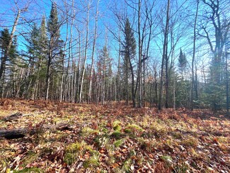 TBD Highway 169, Bovey, MN 55709