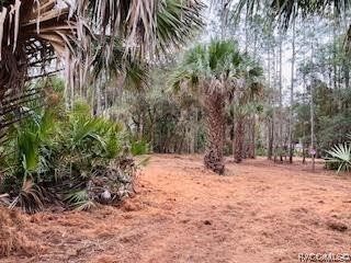 Lot #15 Cason Blvd, Inglis, FL 34449