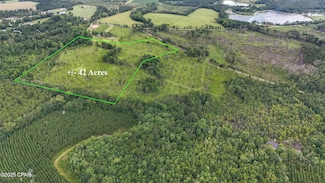 0 Bush Rd, Graceville, FL 32440