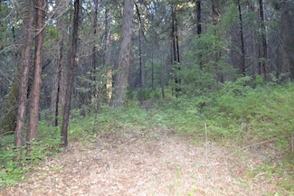 0 Lodestone Rd Unit 225135039, Somerset, CA 95684