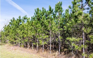 0 Bittersweet Trail, Madison, FL 32340