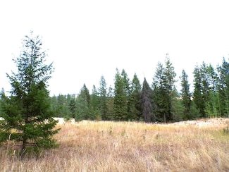 XX Cedar Creek Rd, Inchelium, WA 99138