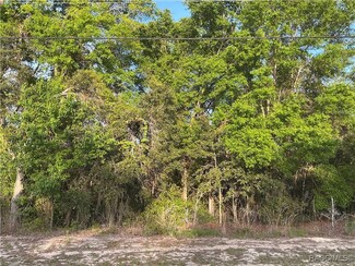 231 N Kensington Ave, Lecanto, FL 34461