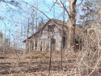 0 Mt Pleasant Rd, Beech Bluff, TN 38313