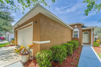 11813 Mango Cross Ct, Seffner, FL 33584