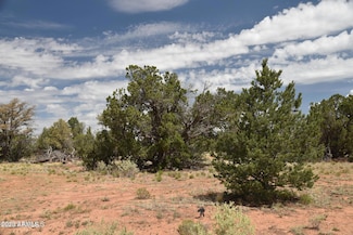 4615 N Alta Villa Rd Unit 55, Williams, AZ 86046