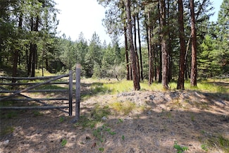 NHN Heirloom Way, Plains, MT 59859