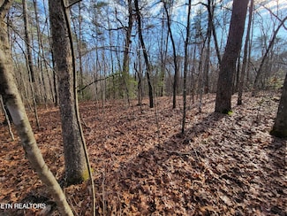 30 Laurel Loop, Monterey, TN 38574