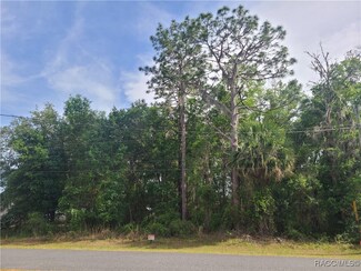 TBD SE 195th Ln, Peaceful Acres, FL 34431