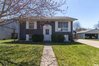 412 29th Ave W, Milan, IL 61264