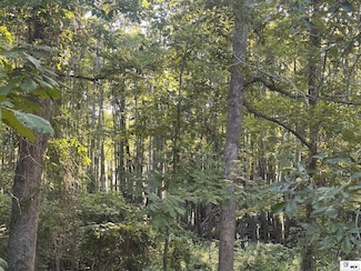 0 E Puckett Lake Rd, West Monroe, LA 71292