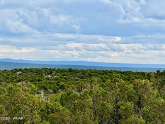 2736 Rebel Yell Rd, White Mountain Lake, AZ 85912