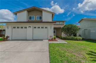 16129 Gardendale Dr, Tampa, FL 33624