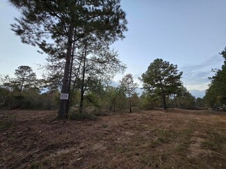 32.89 Shad Rd, Williston, SC 29853