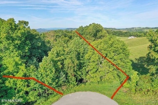 160 Mica Ct, New Tazewell, TN 37825